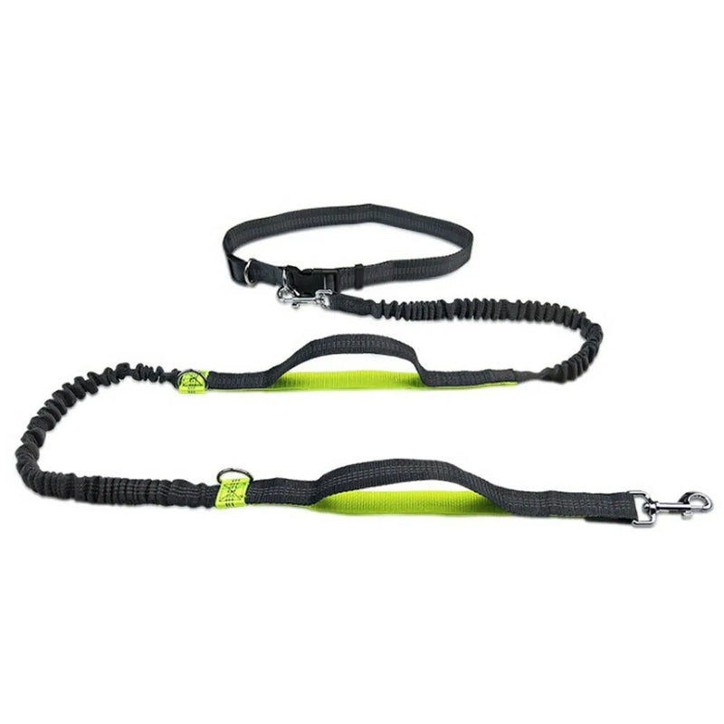 Reflective Rope Pet Leashes - The Snow Owls