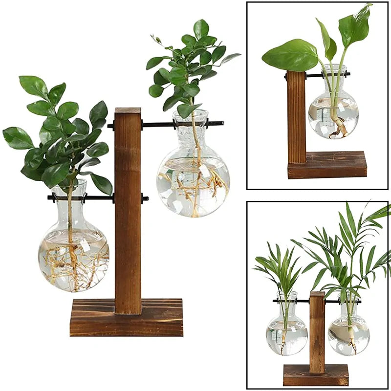 Terrarium Hydroponic Plant Vases - The Snow Owls