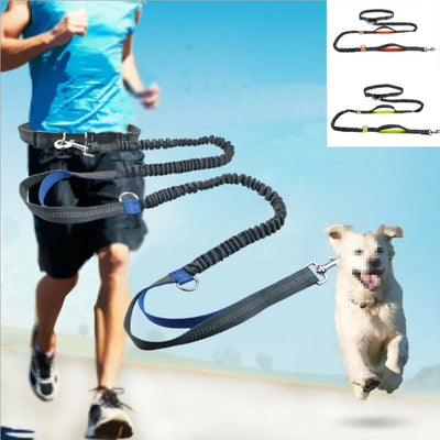 Reflective Rope Pet Leashes - The Snow Owls