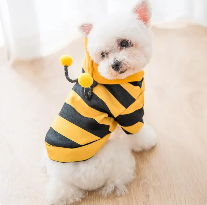 Dog Bumble Bee Sweater - The Snow Owls