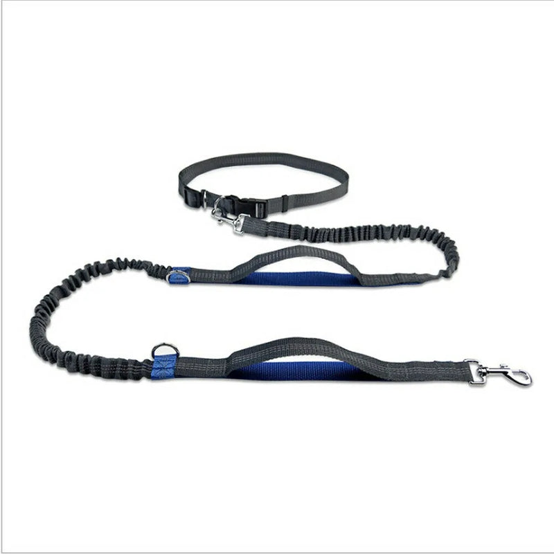 Reflective Rope Pet Leashes - The Snow Owls