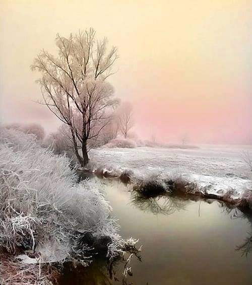 Fleece Blanket, 60"x80" - The Snow Owls