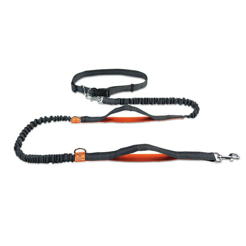 Reflective Rope Pet Leashes - The Snow Owls