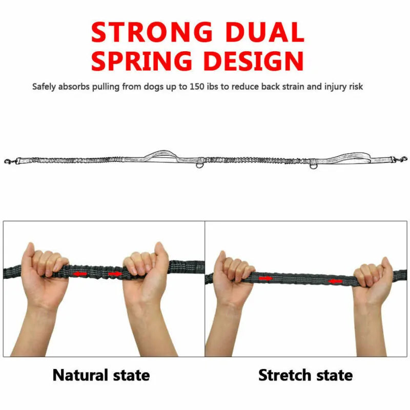 Reflective Rope Pet Leashes - The Snow Owls