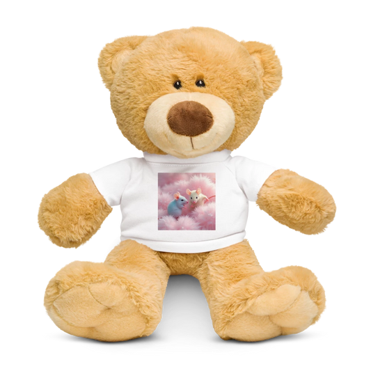 Teddy Bear with a T-shirt