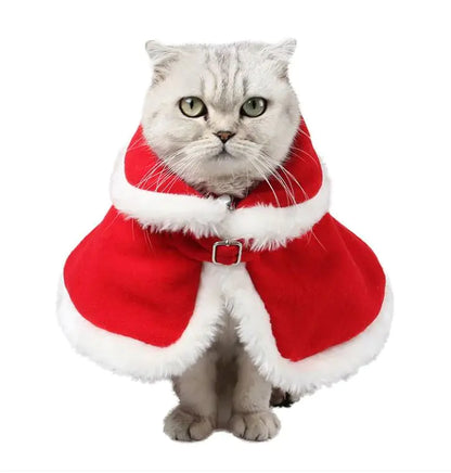 Cat red Christmas cloak