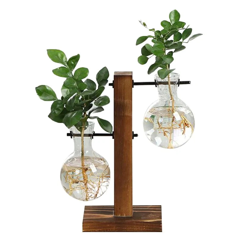 Terrarium Hydroponic Plant Vases - The Snow Owls