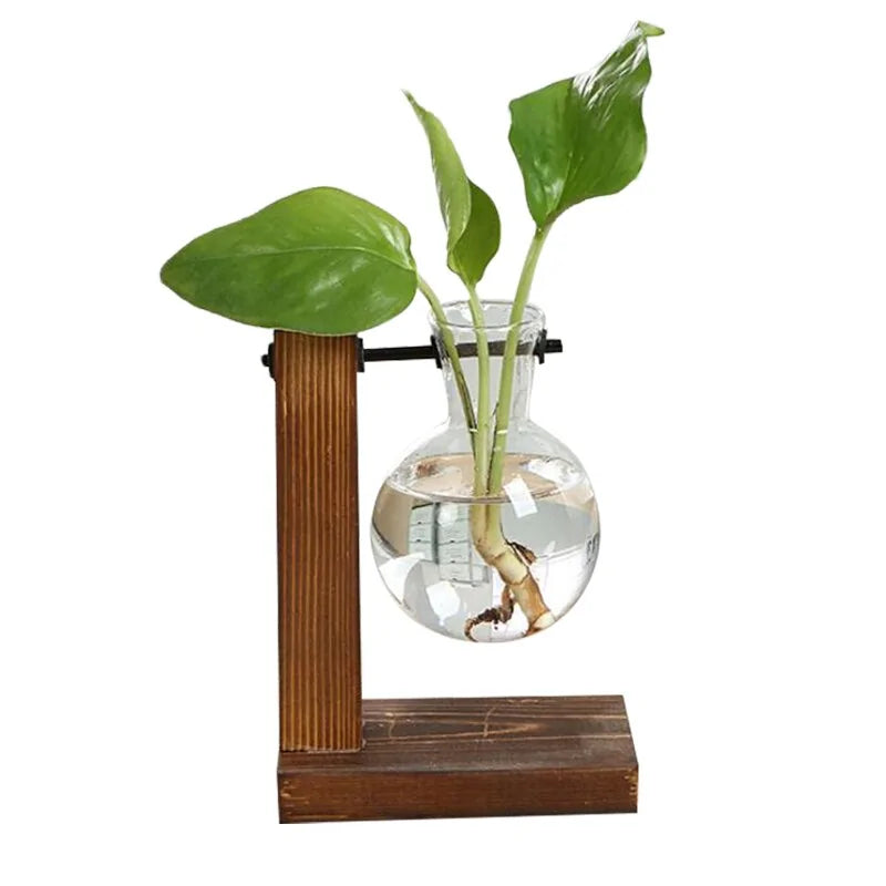 Terrarium Hydroponic Plant Vases - The Snow Owls
